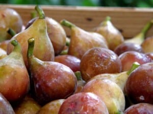 Figs are an Eastern North Carolina delight and guests love the fig preserves recipe from Big Mill Bed and Breakfast in Williamston, NC