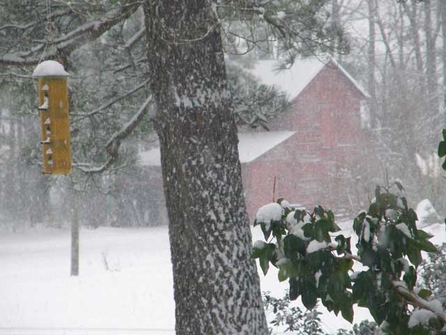 Snow falling at Eastern North Carolina B&B | In the south if it snows we make Snow Cream-here's how to do that | https://chloesblog.bigmill.com/snow-cream