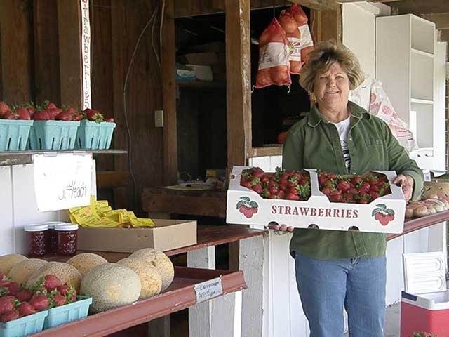 Award-winning strawberry jam recipe from Eastern North Carolina Big Mill Bed and Breakfast is a guest favorite