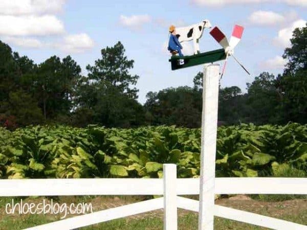 whirly gig in eastern NC | Whirligigs are everywhere at Big Mill B&B-this one overlooks the tobacco field | https://chloesblog.bigmill.com/whirligigs-and-tobacco/