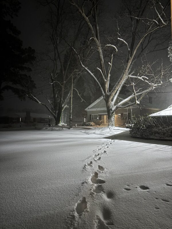 Night snow on the farm at Big Mill B&B, winter scene.