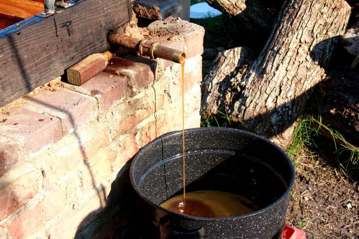 Making Molasses in eastern NC near the farm at Big Mill 