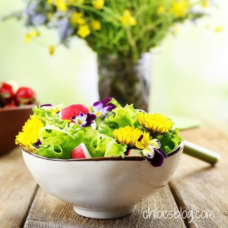 photo of Salad with edible flower at Big Mill B&B