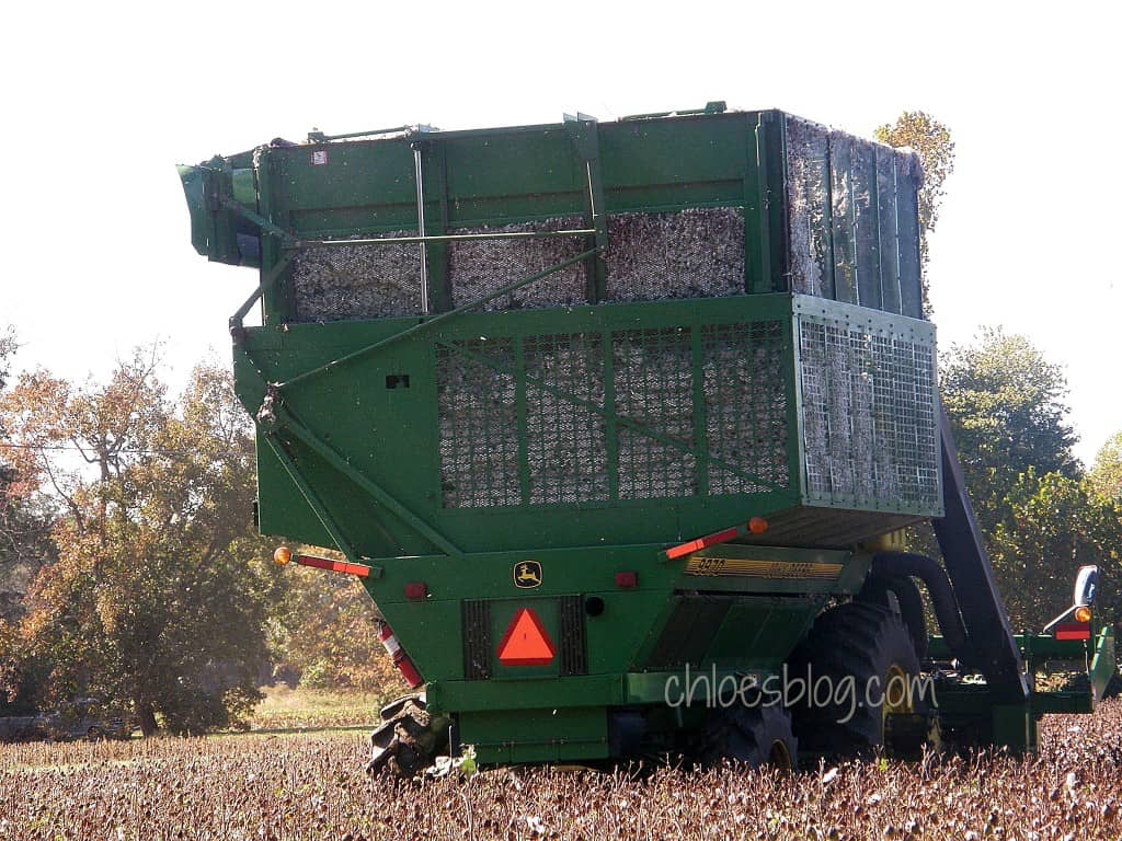 Cotton picker harvesting cotton in fields at Big Mill Inn, near Greenville, NC
