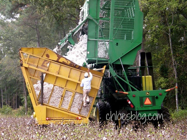 Making cotton bales in eastern North Carolina, near Big Mill Bed and Breakfast