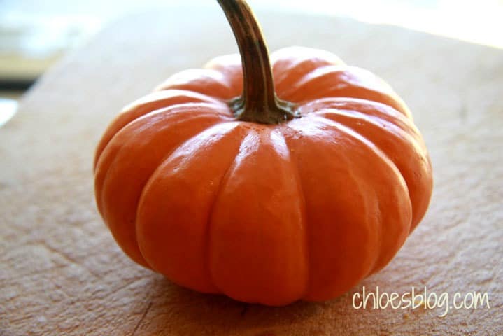 Small pumpkin photo from the innkeeper at Big Mill B&B