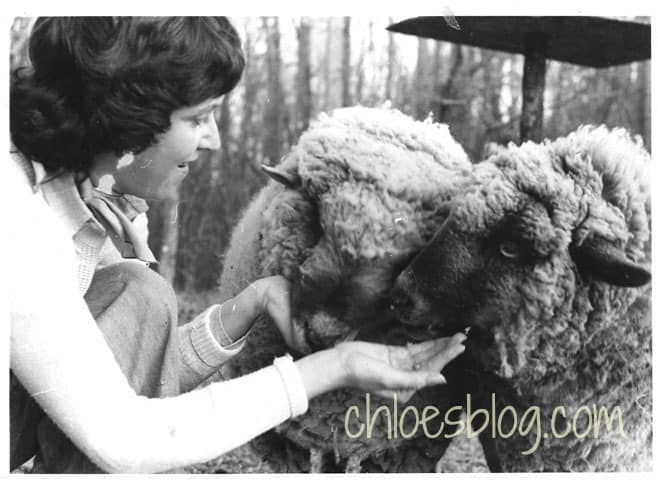 Chloe with sheep Yorick & Maggie Belle at Big Mill B&B