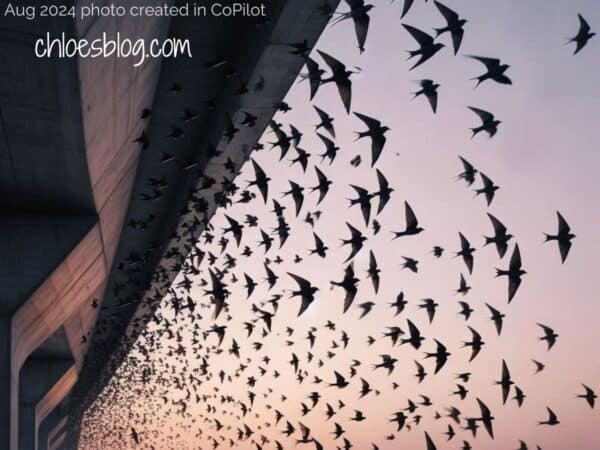 Photo of Purple Martins under bridge in NC's Outer Banks