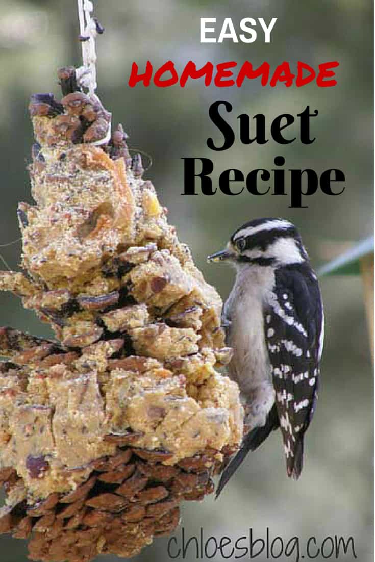 Homemade Suet Recipe Big Mill B&B near Greenville NC