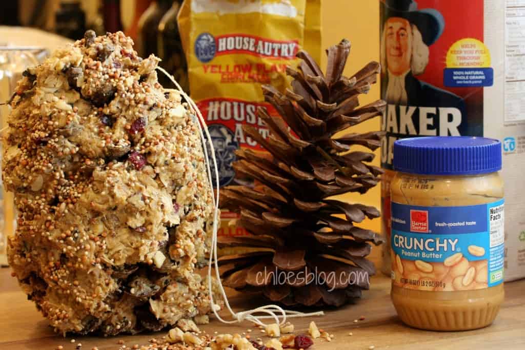 Homemade Suet Recipe Big Mill B&B near Greenville NC