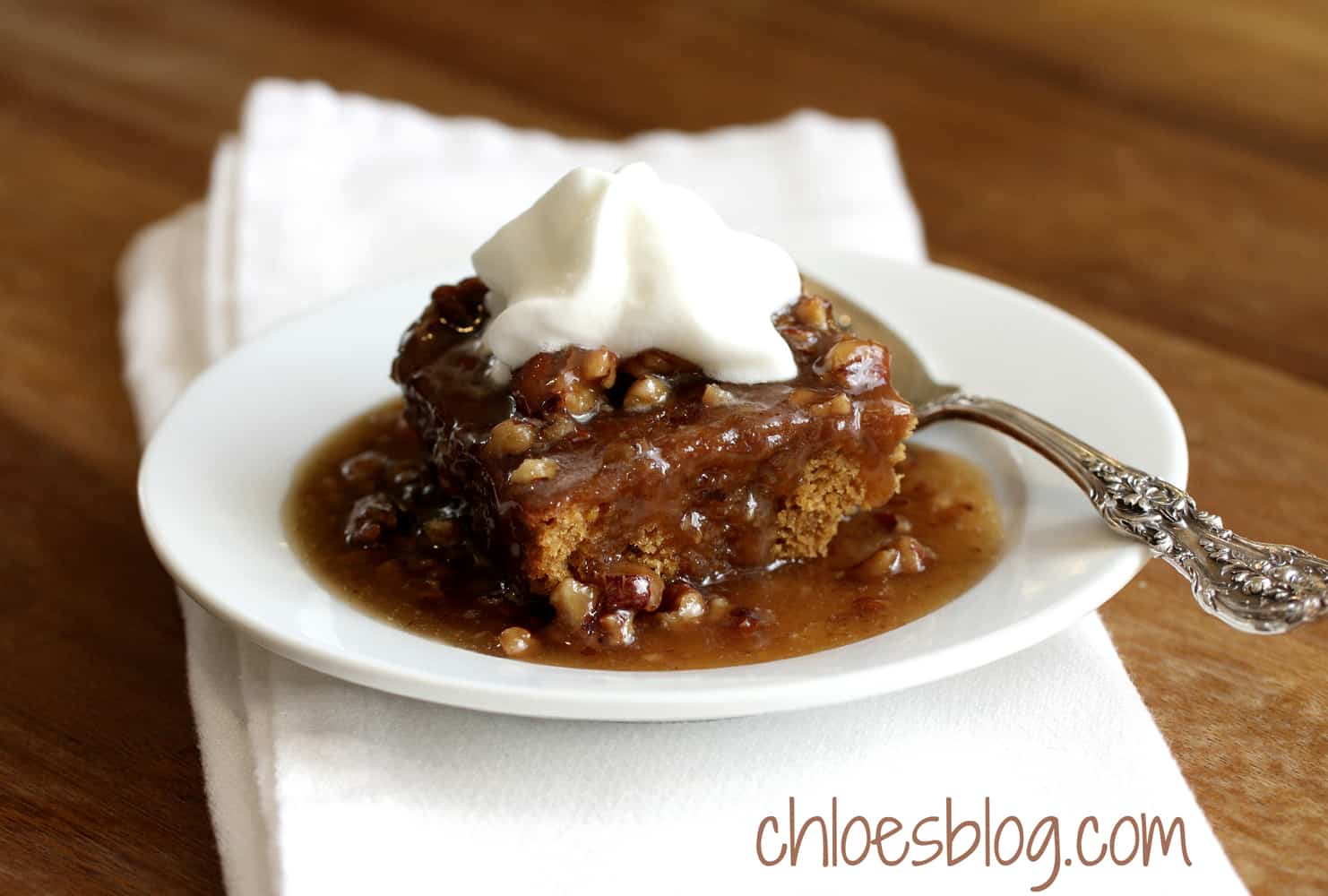 Southern-Molasses-Pudding-Cake photo