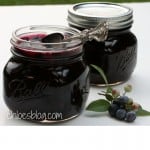 Easy Blueberry Jam is made with fresh blueberries and a touch of cinnamon