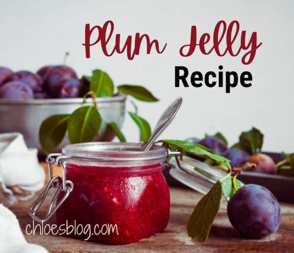 Chloe's Plum Jelly Recipe photo