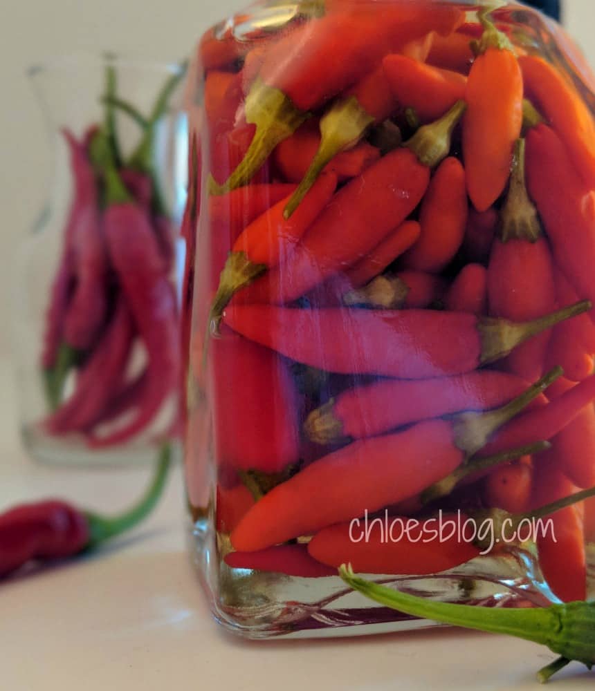 Hot Pepper Vinegar Recipe is an easy Southern staple