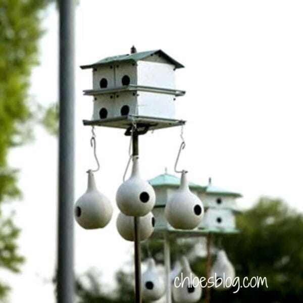 Photo of Empty Purple Martin House and Gourds at Big Mill B&B