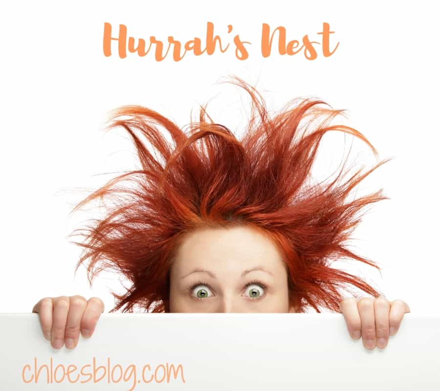 Hurrah's Next or messy hair photo from Chloe's Blog