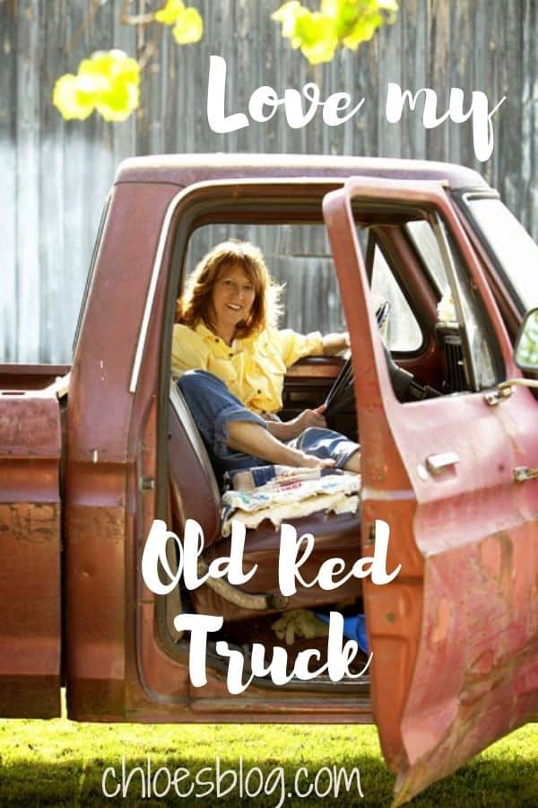 Old Red Truck - Mascot of Big Mill B&B Extended Stay