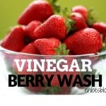 Vinegar-berry-Wash-Recipe-Chloes-Blog