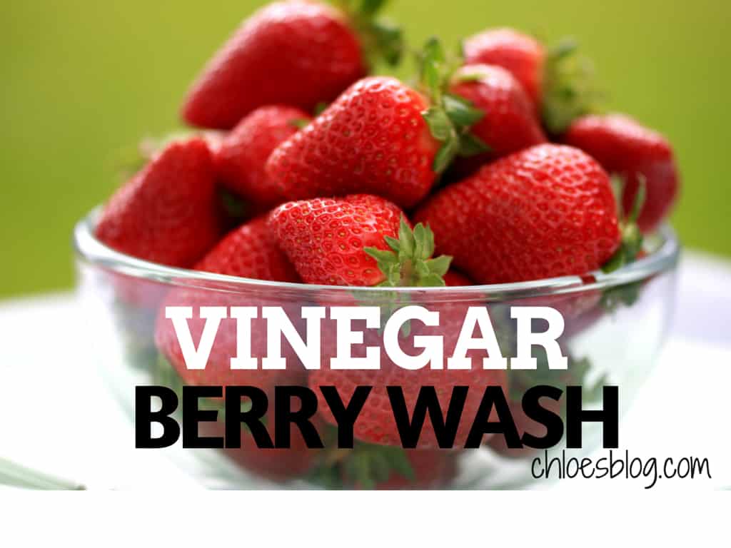 Vinegar-berry-Wash-Recipe-Chloes-Blog