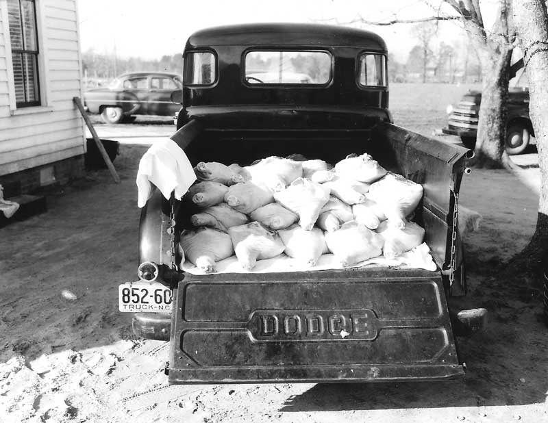 Old Dodge truck with hams at Big Mill B&B near Greenville, North Carolina